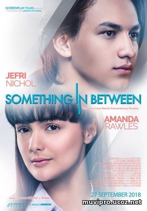Something in Between (2018)