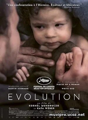 Evolution (2023)